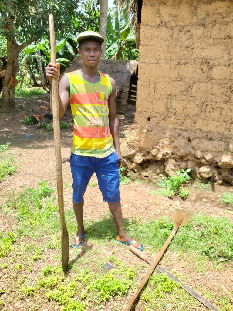 Solar Energy in Guinea: A Beacon of Light for a Sustainable Future